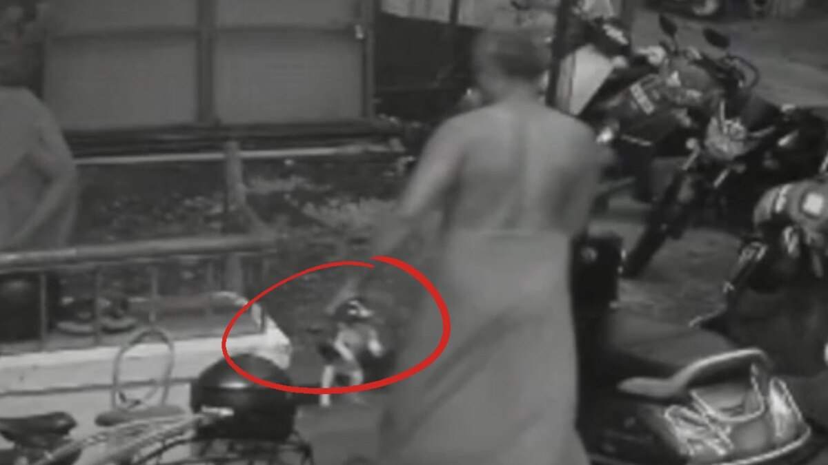 इस घटना की शिकायत पुलिस से की गई लेकिन कोई एक्शन नहीं हुआ (Photo- CCTV Footage)