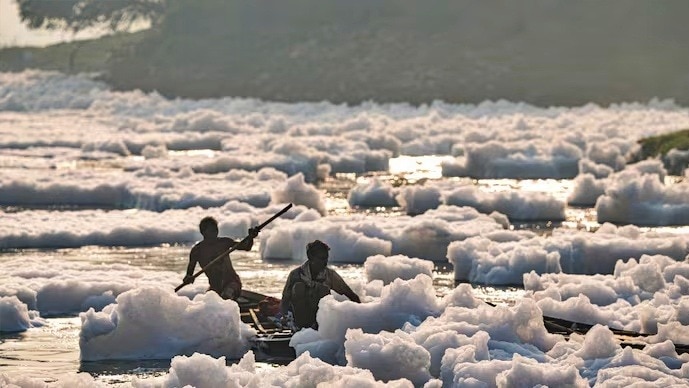 Akhilesh Yadav slams the government over Yamuna pollution (File Photo: PTI)