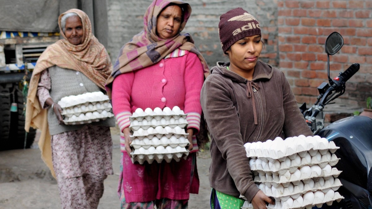 India actually has an egg problem 