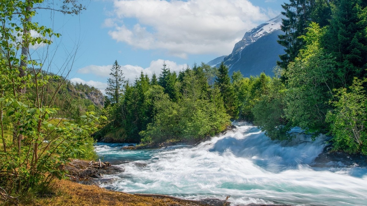 भारत के बाद अब अफगानिस्तान भी रोकेगा पाकिस्तान का पानी, कुनार नदी पर बांध बनाने की तैयारी