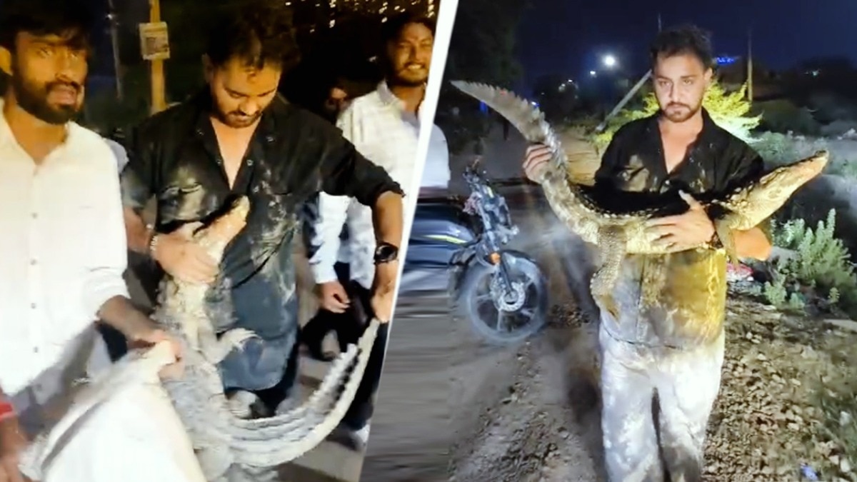 kota youths do photoshoot with injured crocodile