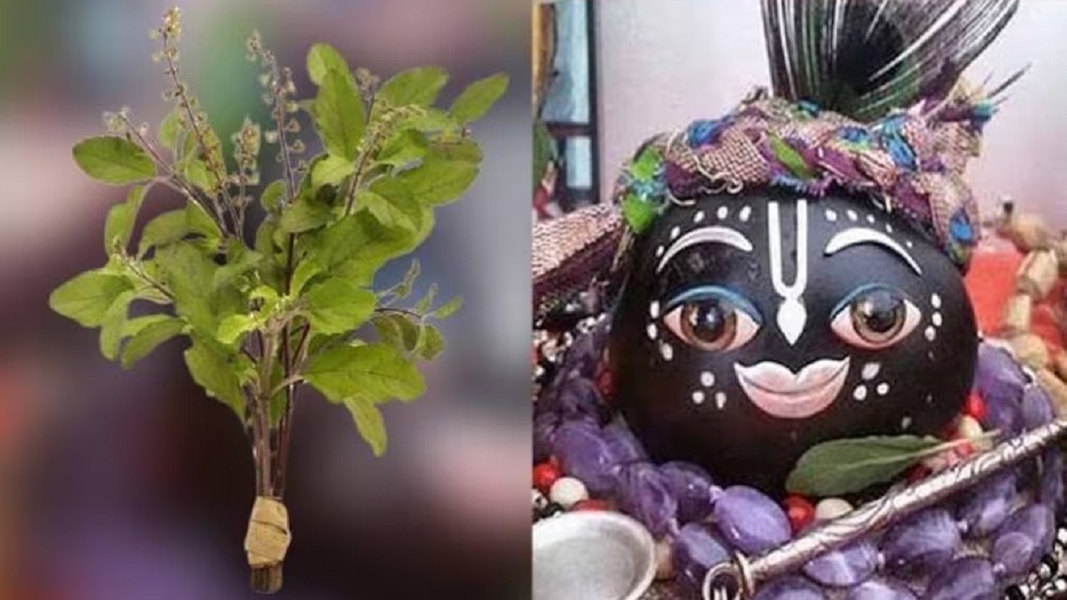 तुलसी विवाह के दिन ऐसे करें तुलसी माता का श्रृंगार, घर में आएगी खुशहाली