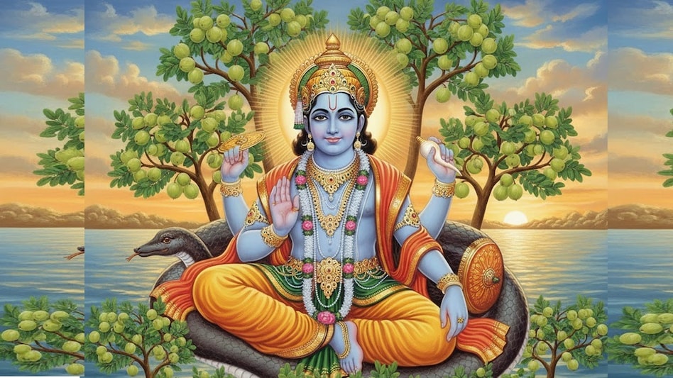 Akshaya Navami 2025: 30 या 31 अक्टूबर, कब है अक्षय नवमी? जानें तिथि और शुभ मुहूर्त - akshaya navami 2025 date 30 or 31 october shubh muhurt puja Vidhi upay significance tvisu - AajTak