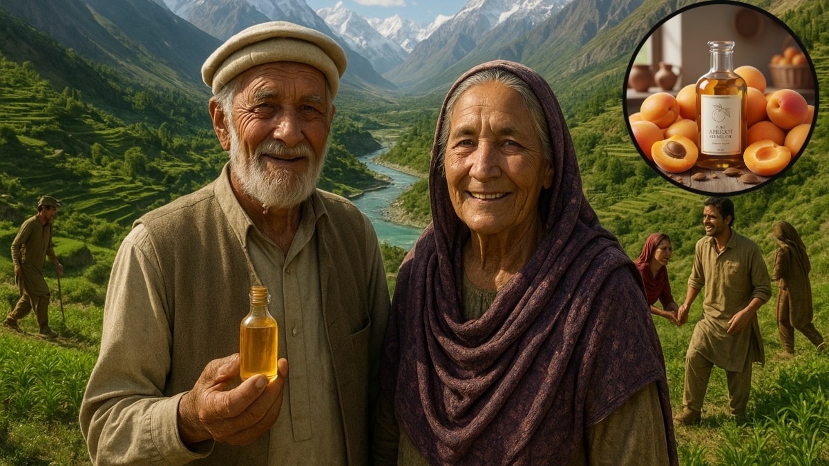 हुंजा घाटी के लोग मानते हैं कि खुबानी का तेल कैंसर को भी मात दे सकता है, लेकिन इस पर अभी रिसर्च नहीं की गई है. (Photo: AI generated)
