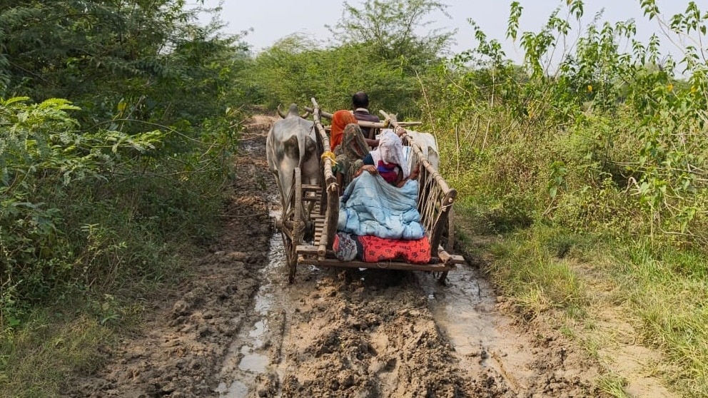 Pregnant woman reaches hospital in Hamirpur by bullock cart (Photo- ITG)