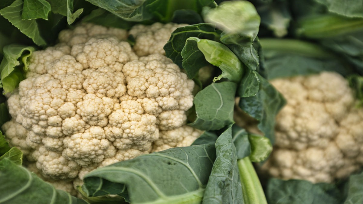 Cauliflower Seeds