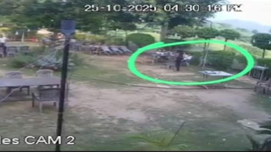 Screengrab)  Screengrab)