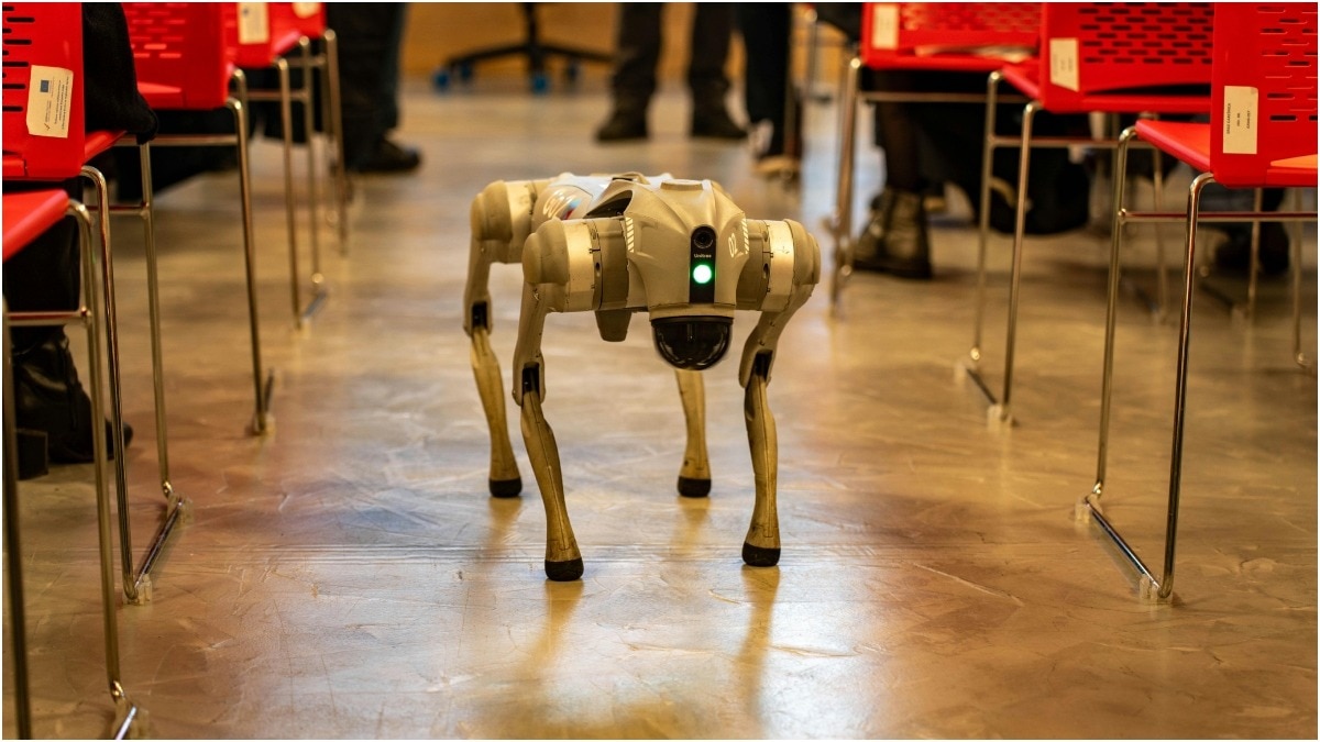 China AI robotic dogs
