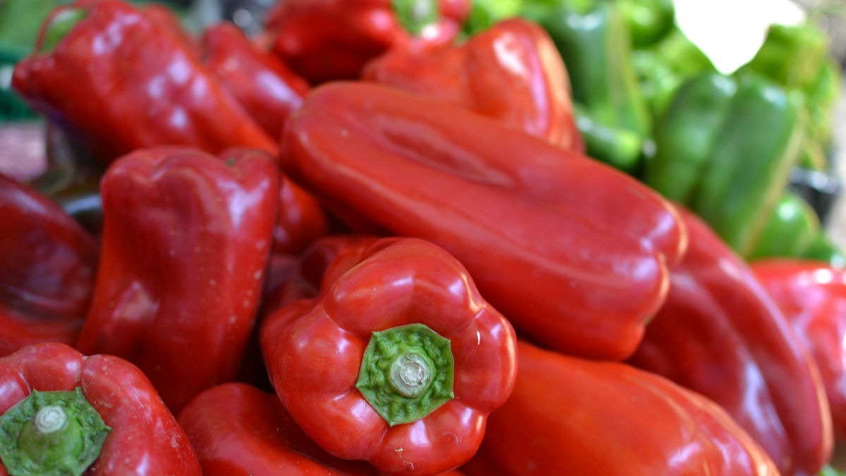 घर पर लाल शिमला मिर्च उगाने के फायदे मिल सकते हैं (Photo: Unsplash)