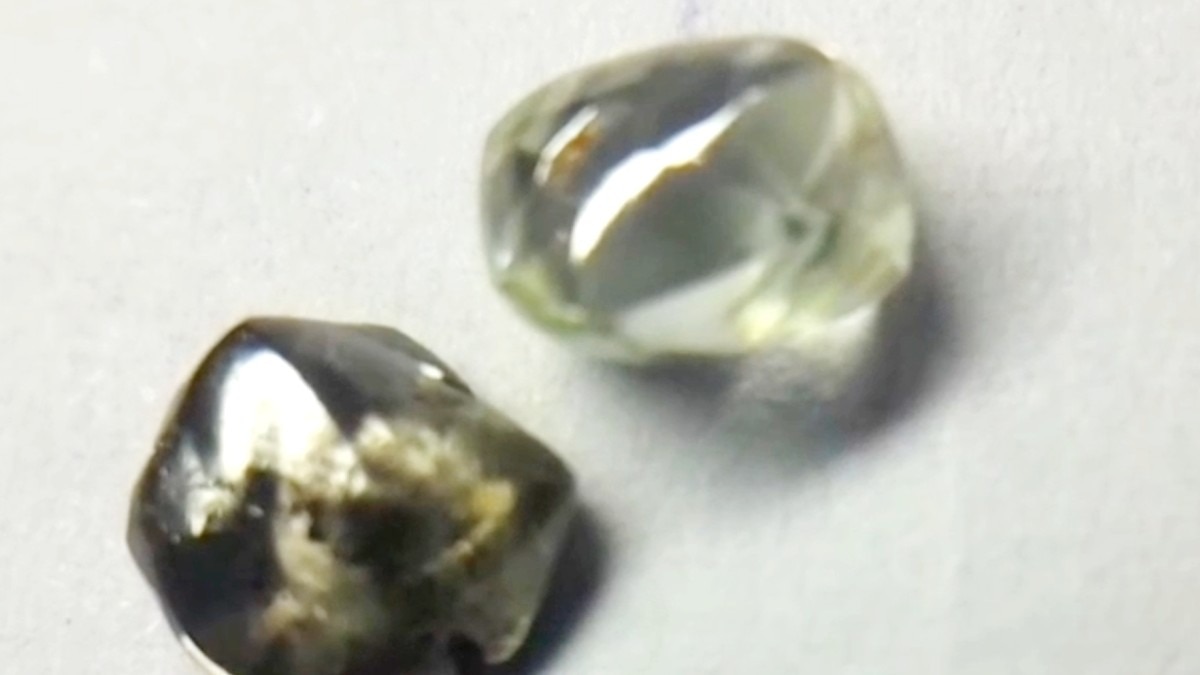 गाइड को मिले 1.56 कैरेट और 1.35 कैरेट के दो हीरे.(Photo:ITG)