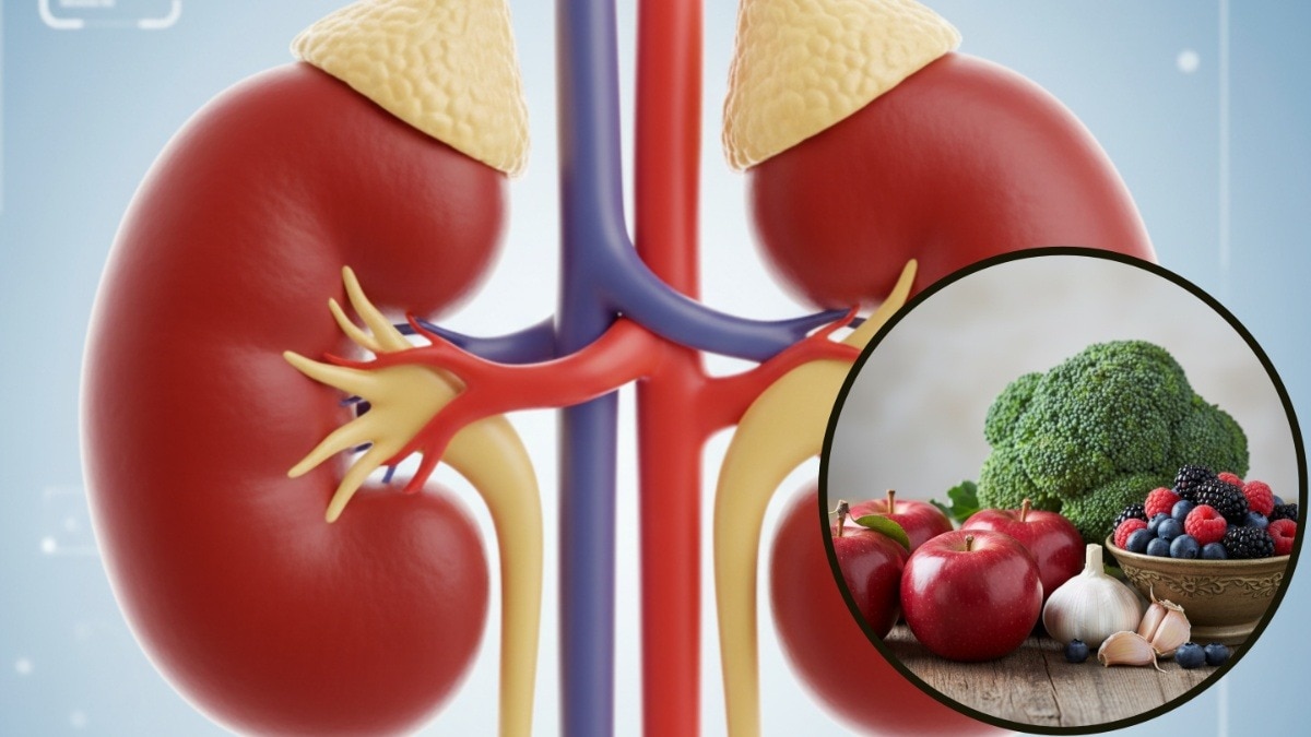 किडनी सुपरफास्ट करने के लिए खाएं ये फूड्स, घटेगा Kidney Failure का रिस्क