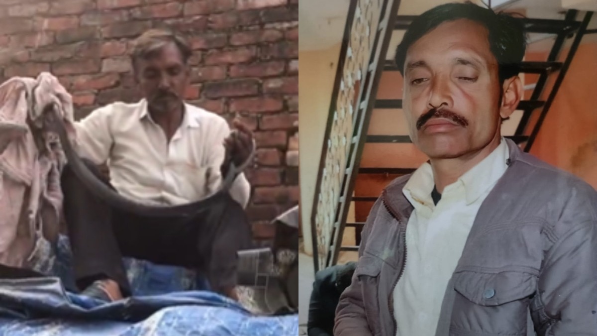 कोबरा को घर लाकर खेलता रहा किसान, जीभ समेत कई जगह डसा, Video