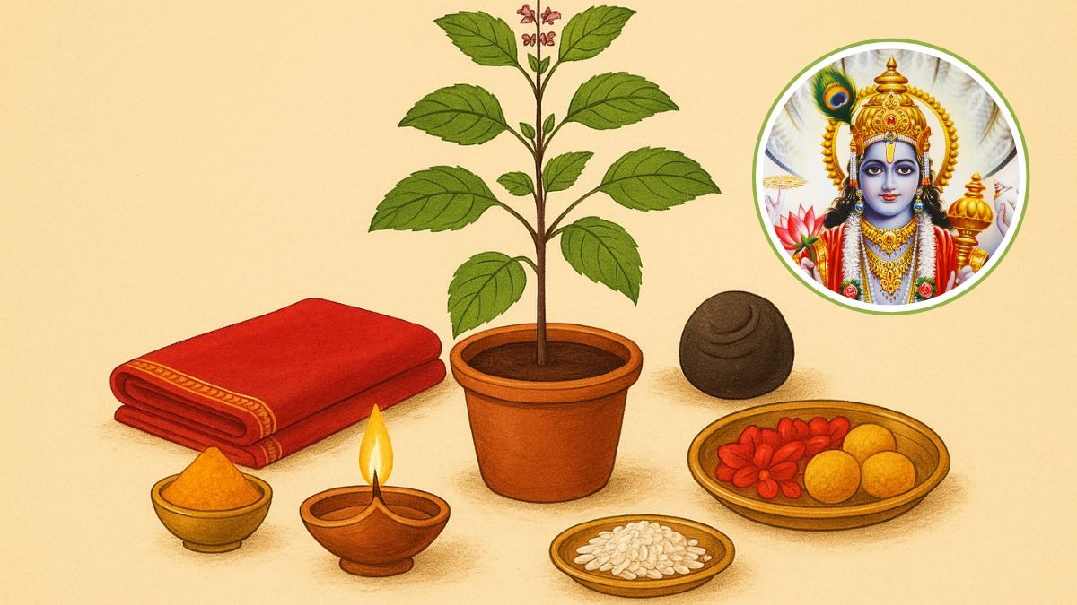Tulsi Vivah 2025: तुलसी विवाह में जरूर शामिल करें ये सामग्री, मिलेगा माता लक्ष्मी का आशीर्वाद