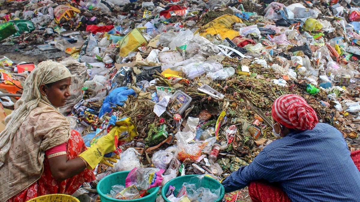 अब कूड़े फेंकने वाले का पीछा कीजिए और झट से कमा लीजिए 250 रुपये