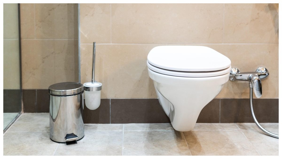 88 करोड़ में एक टॉयलेट सीट बेच रहा शख्स, आखिर क्यों इतना महंगा बिकेगा ये टॉयलेट