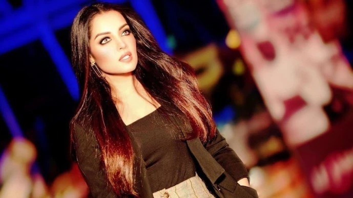 सेलिना जेटली की याचिका पर सुनवाई करते हुए कोर्ट ने नोटिस जारी किया है. (File Photo: ITG)