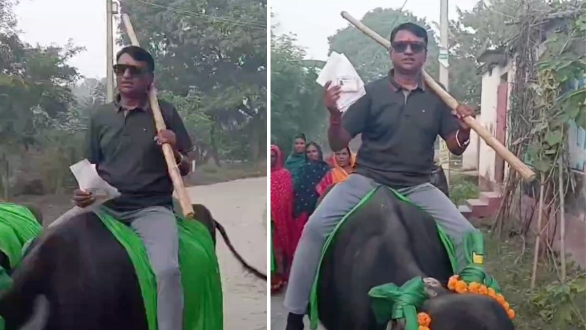 ई बिहार बा... वैशाली में भैंस पर चढ़कर वोट डालने पहुंचा शख्स- VIDEO