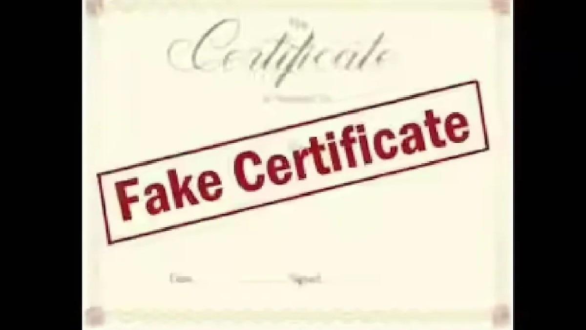 गांव में एक भी मुस्लिम परिवार नहीं, फिर भी अंजुम खान को मिल गया बर्थ सर्टिफिकेट... MP में पंचायत सचिव सस्पेंड