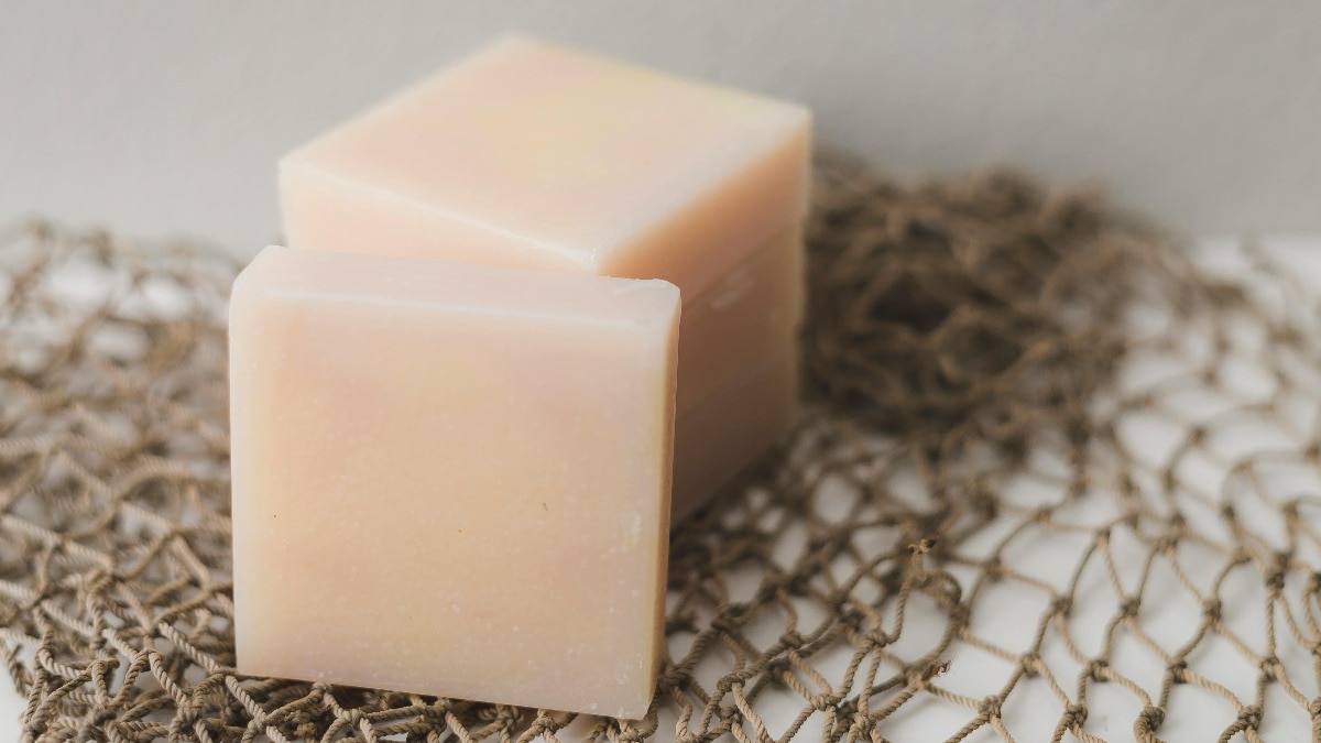 दुबई में लोग क्यों खरीद रहे गधी के दूध से बना साबुन, इतनी है कीमत