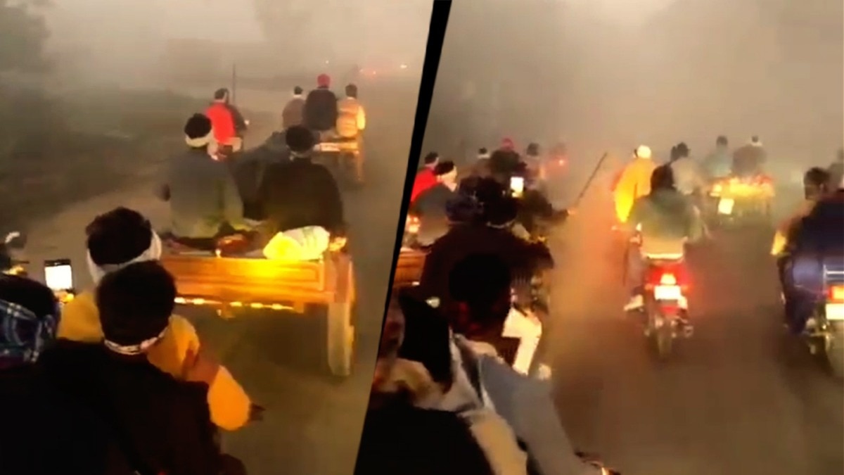 Accident in bullock cart race