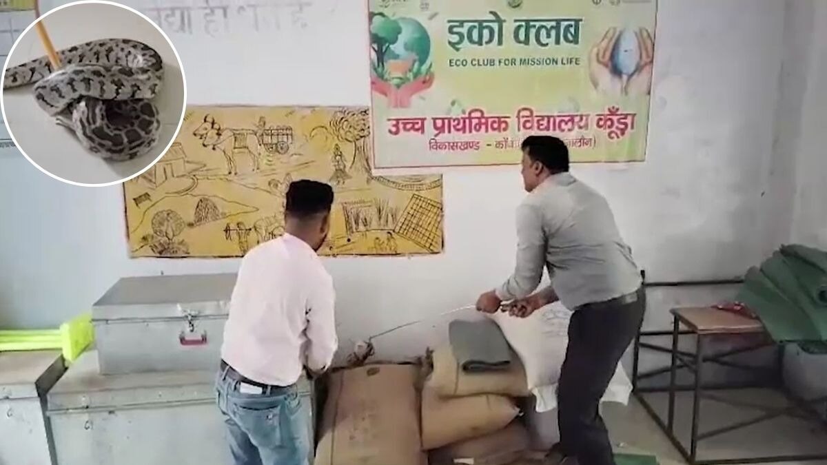 स्कूल के स्टोर रूम में निकला दस फीट का अजगर. (Photo: Screengrab)