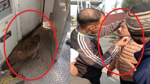 चील के टकराने से घायल हुआ ट्रेन का ड्राइवर. (Photo: Screengrab)