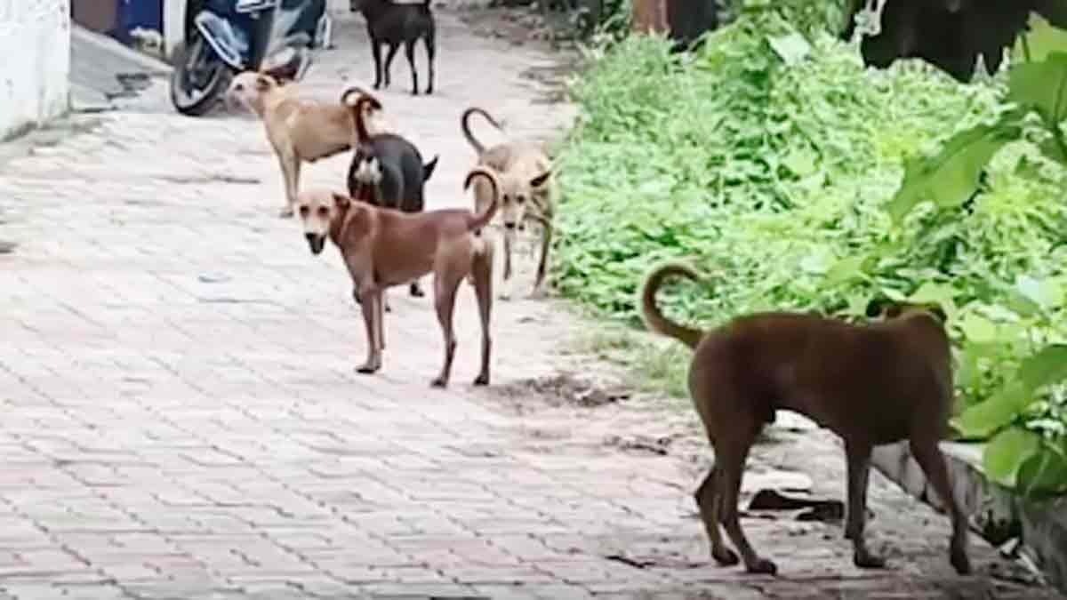 स्वास्थ्य केंद्रों पर मरीज बढ़ गए हैं. (Photo: Representational)