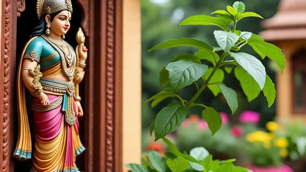 Vastu Shastra: मां लक्ष्मी की कृपा पाने के लिए घर के मुख्य द्वार पर लगाएं ये पौधे, इनसे रखे दूरी