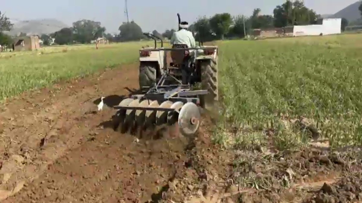 किसानों ने प्याज की खड़ी फसल को ट्रैक्टर चलाकर किया नष्ट. (Photo: Screengrab)