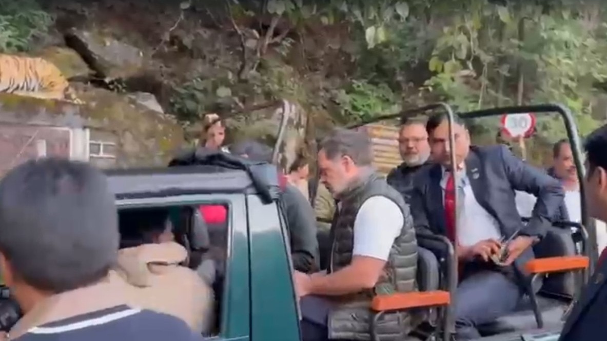 'लीडर ऑफ पर्यटन...',  मध्य प्रदेश के पचमढ़ी पहुंचे राहुल ने की सफारी तो BJP ने कसा तंज