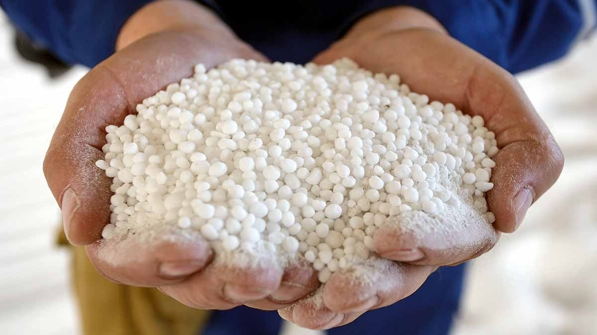 ‘व्हाइट-कॉलर’ मॉड्यूल की जांच तेज हो गई है (Photo: Getty)