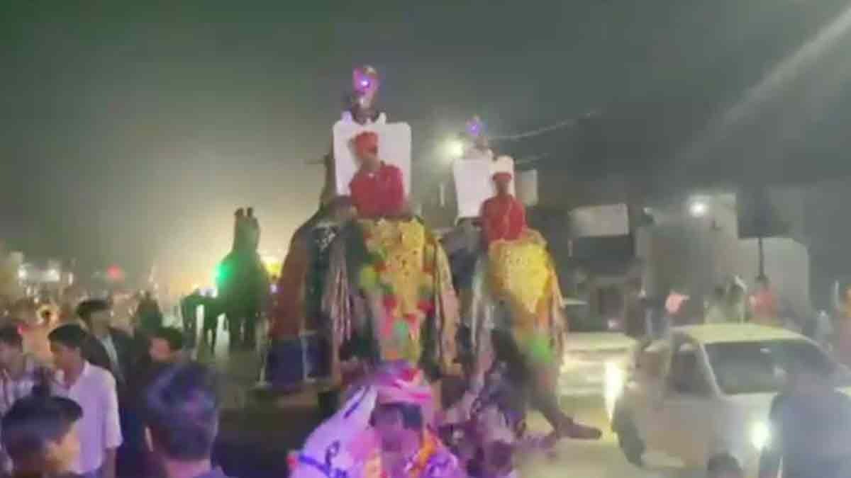 Unique Bandoli elephant of Satia community in Bhopalgarh 