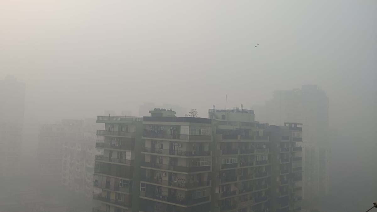 Delhi-NCR weather Forecast IMD Fog alert (File 