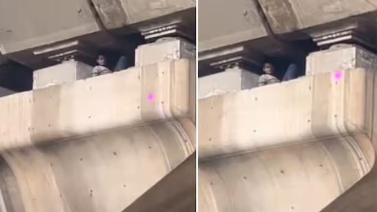 Bengaluru viral video, flyover pillar man