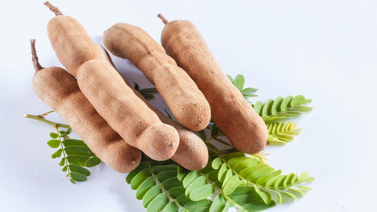 Tamarind planting guide