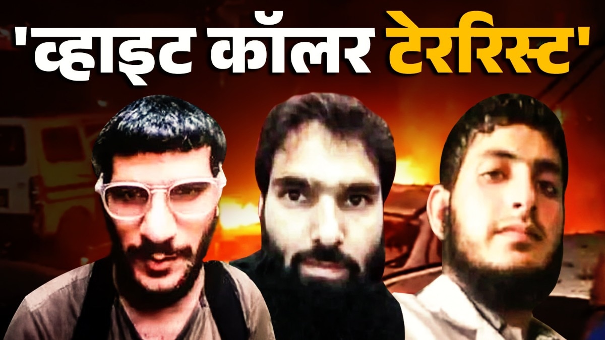 White Collar Terror Module