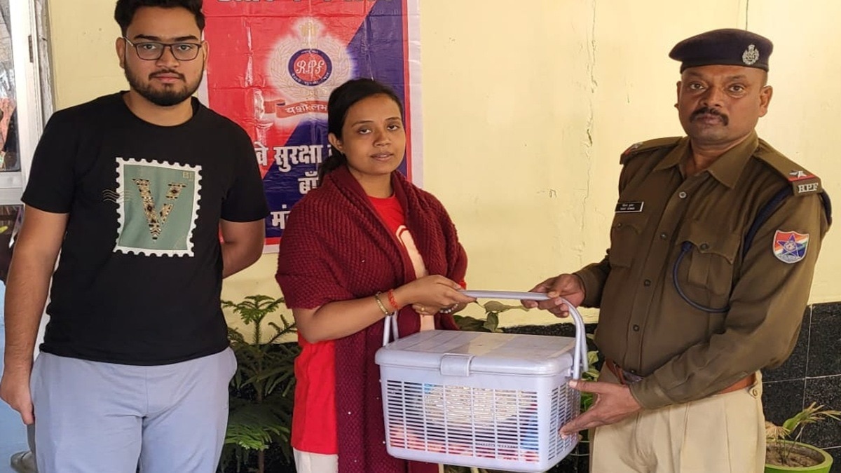 Police handed laddu gopal to woman