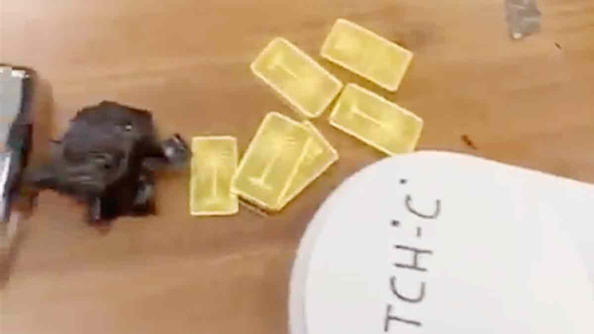 एयरपोर्ट पर भारी मात्रा में सोना पकड़ा गया (Photo: Screengrab)