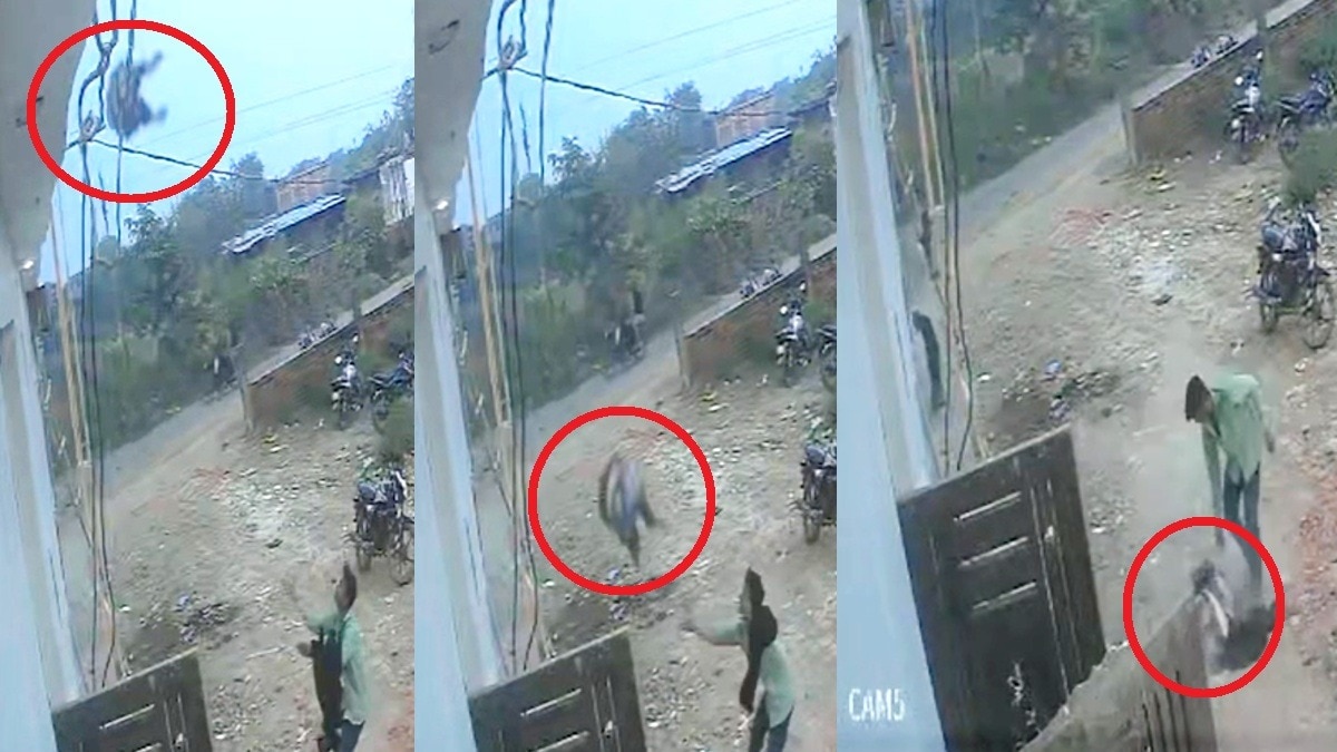 मजदूर के गिरने का लाइव सीसीटीवी फुटेज.(Photo:Screengrab)