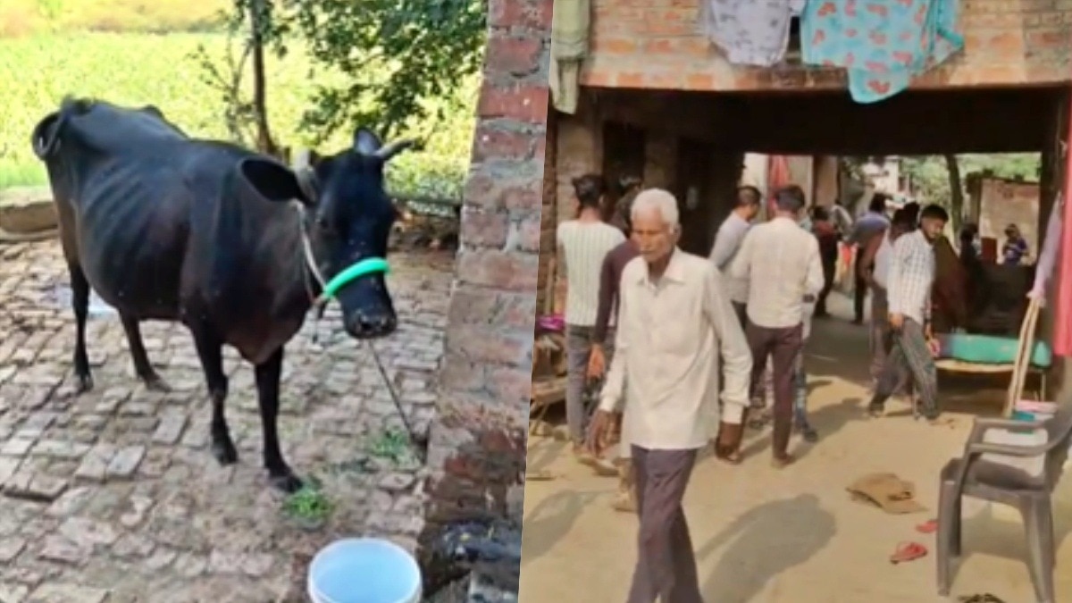 Panchamrit made from milk of rabies-infected cow (Photo- Screengrab)