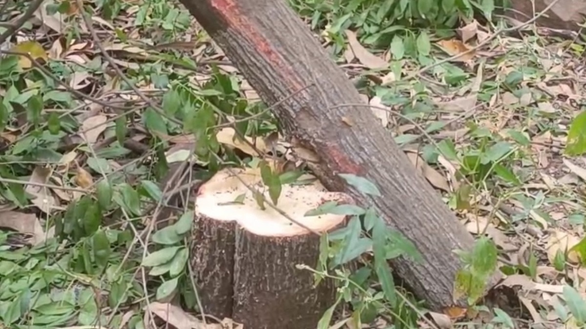 सुरक्षा व्यवस्था पर उठे सवाल.(Photo: Ravish Pal Singh/Dharmendra Sahu/ITG)