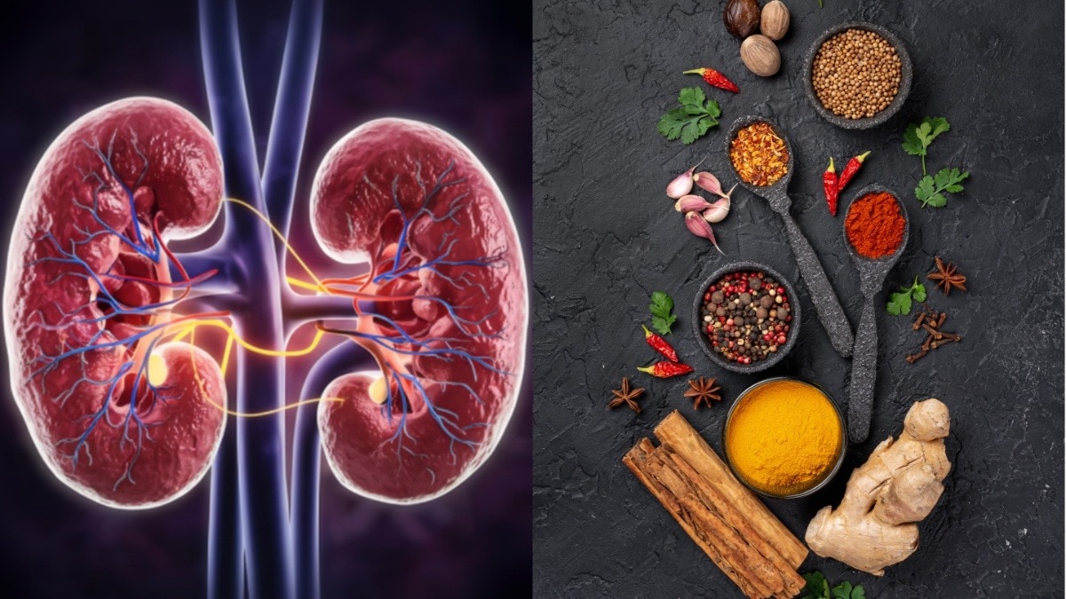 Herbs and Spices for kidney (Photo: Freepik)