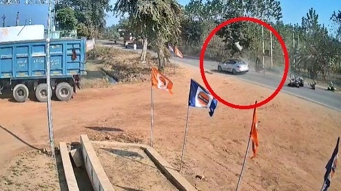 Nilgai dies after being hit by car (Photo- Screengrab)