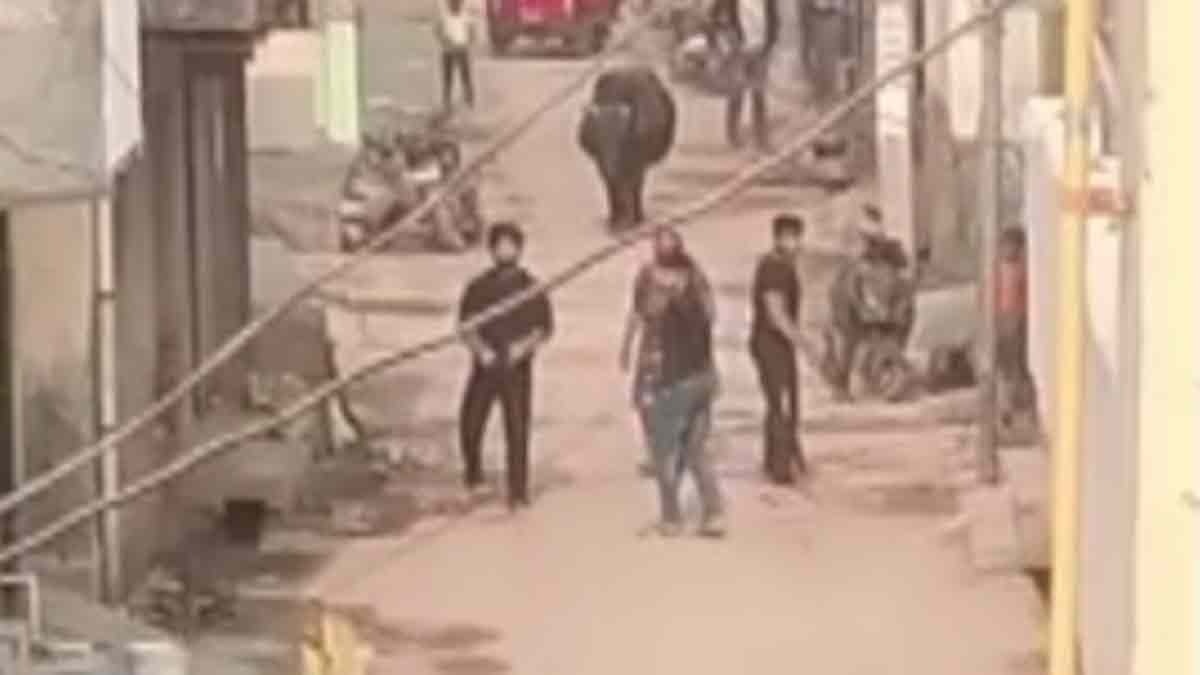 जमीनी विवाद में दिनदहाड़े फायरिंग (Photo: Screengrab)