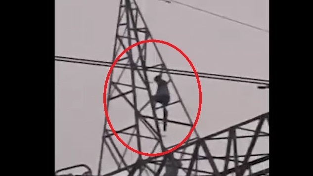 बिजली के टावर पर चढ़कर युवक का हाईवोल्टेज ड्रामा. (Photo: Screengrab)