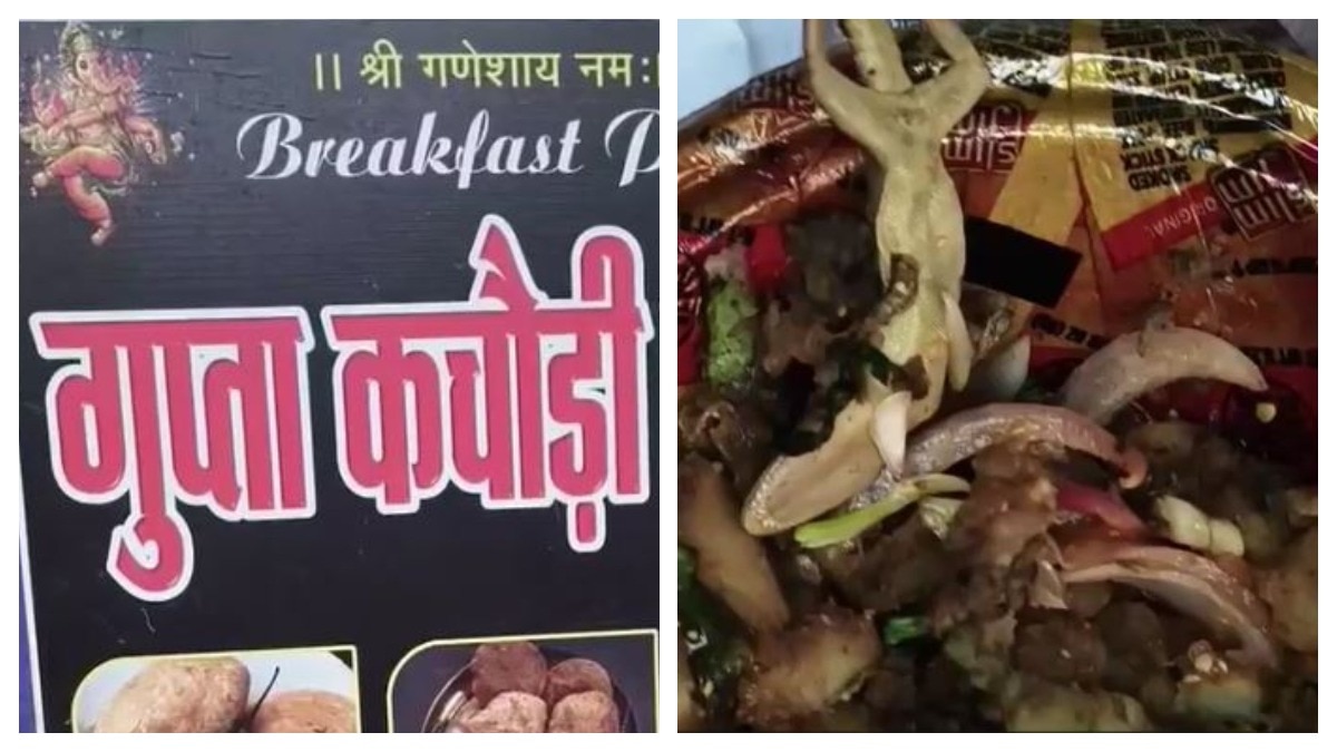 खाने में मरी छिपकली मिलने के बाद भड़क गए ग्राहक (Photo: Screengrab)