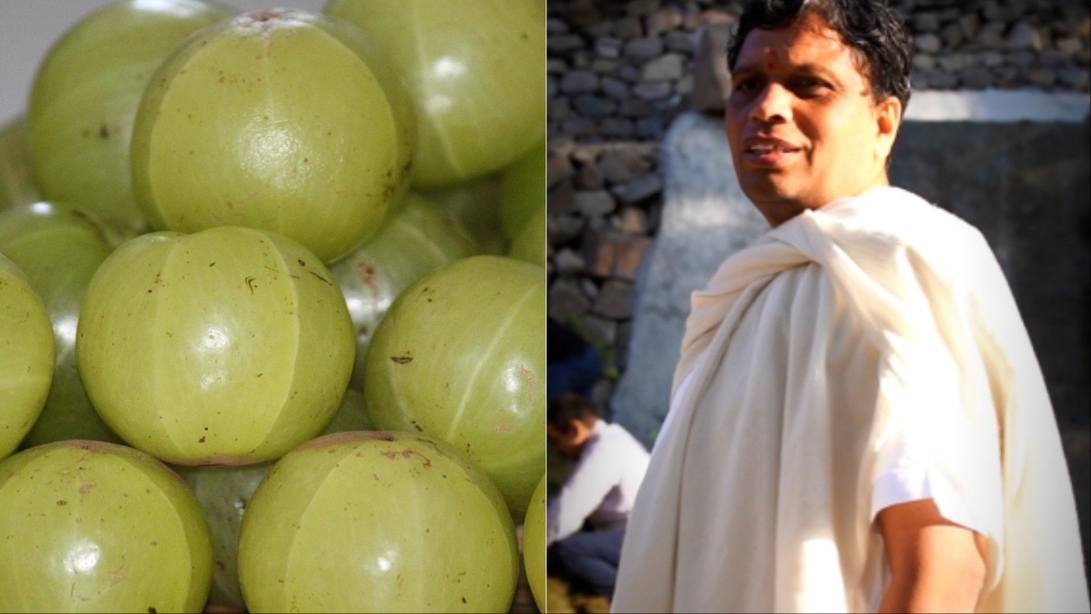 कमजोर आंखों के लिए वरदान है आंवला, आचार्य बालकृष्ण ने बताया खाने का सही तरीका (Photo- AI generated)