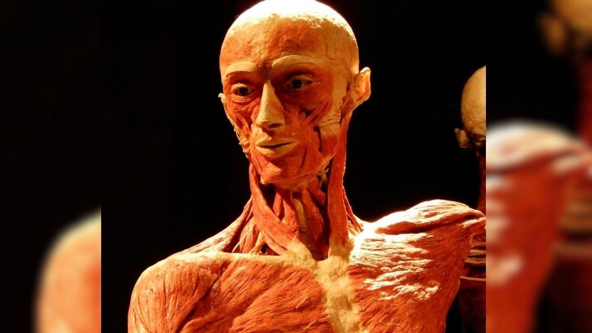 ऐसा म्यूजियम जहां लगती है मुर्दों की प्रदर्शनी... यहां एक मां को दिखा अपने बेटे का शव