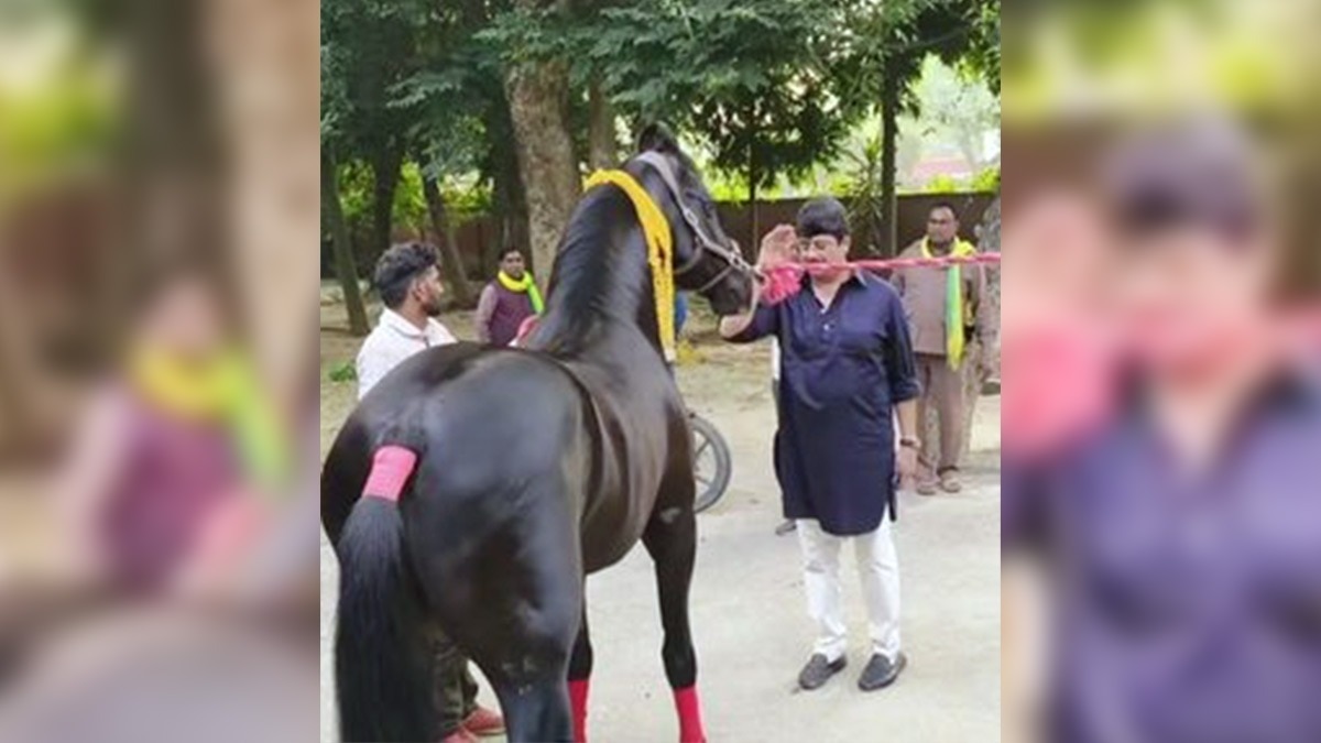 विधायक राजा भैया का नया घोड़ा ट्रोजन (Photo: Screengrab)