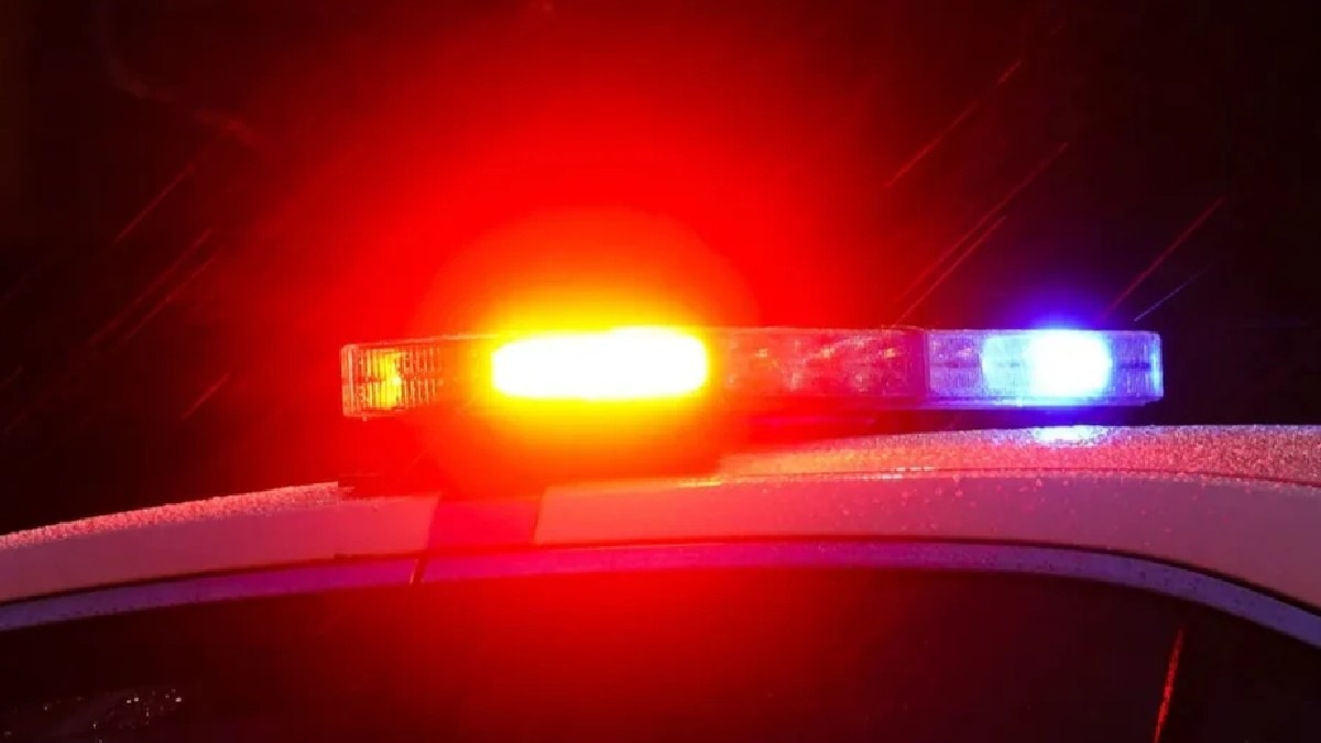 Fake Police Arrest Jhalawar